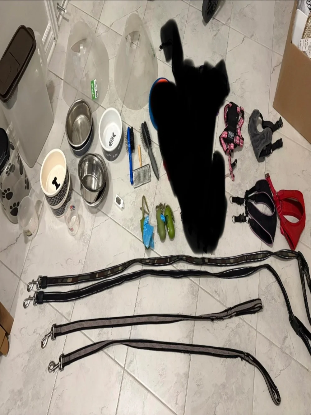 Dog stuff bundle - Picture 3 of 6